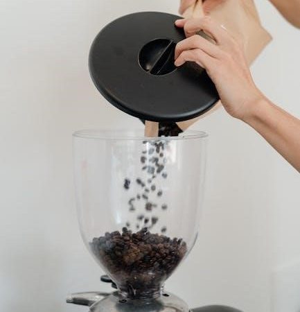 electric vs manual coffee grinder