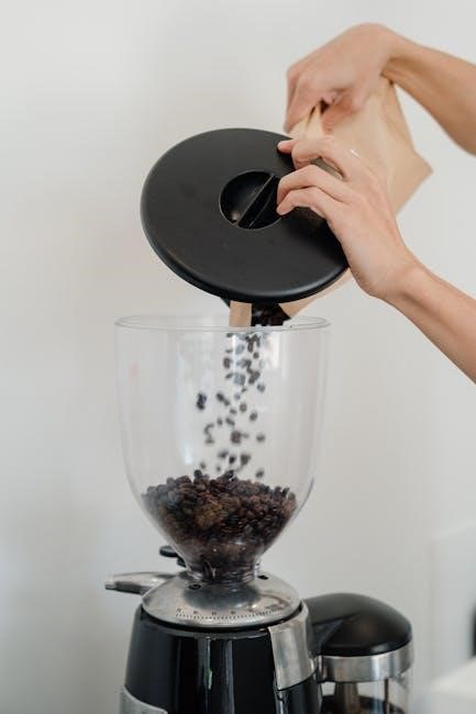 electric vs manual coffee grinder