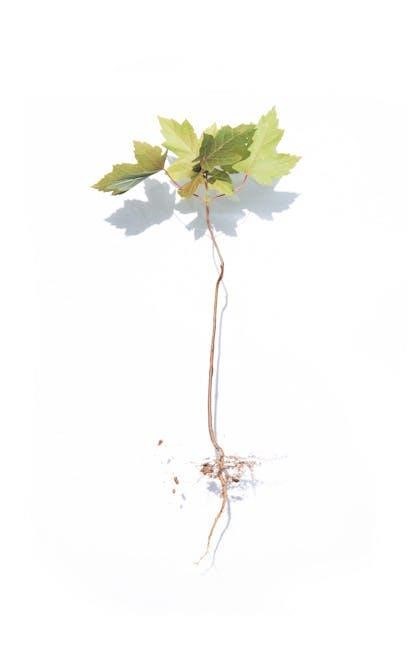 how life works: a user’s guide to the new biology