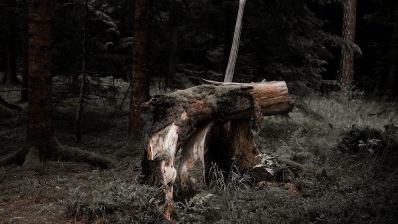 stump shade guide