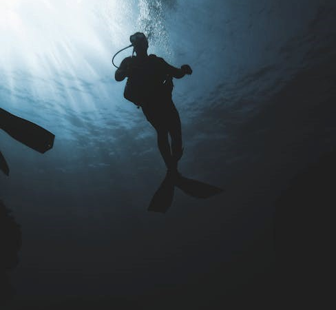 padi open water diver manual pdf