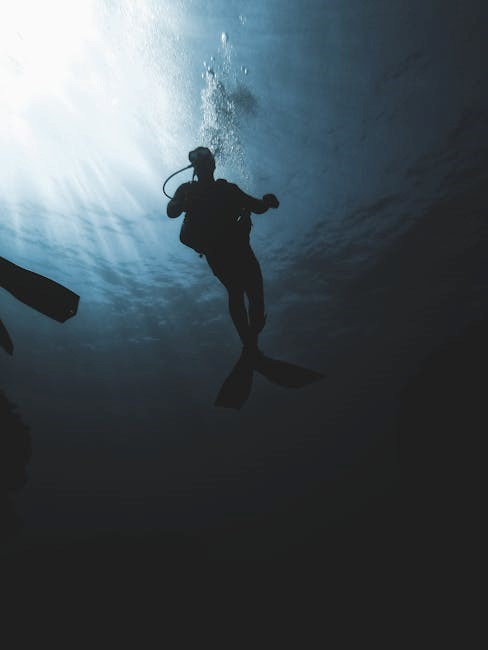 padi open water diver manual pdf