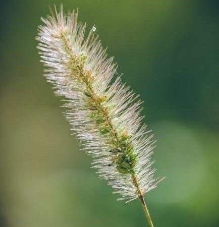 spectracide weed and grass killer instructions