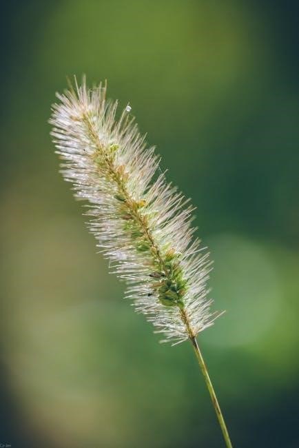 spectracide weed and grass killer instructions