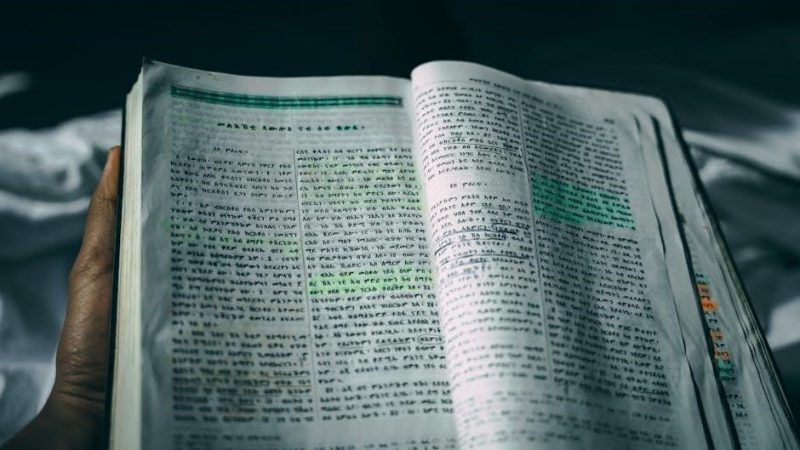 bible study guide for beginners pdf
