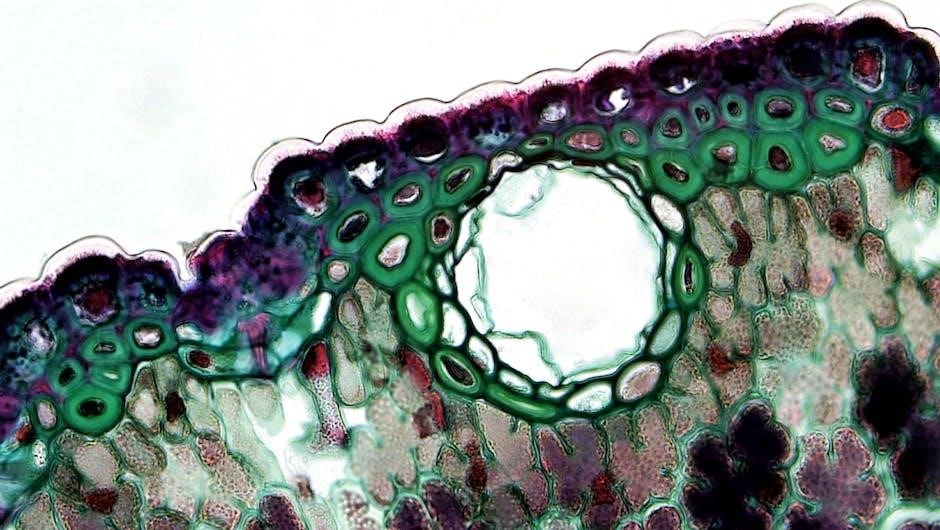 cell transport worksheet answer key pdf